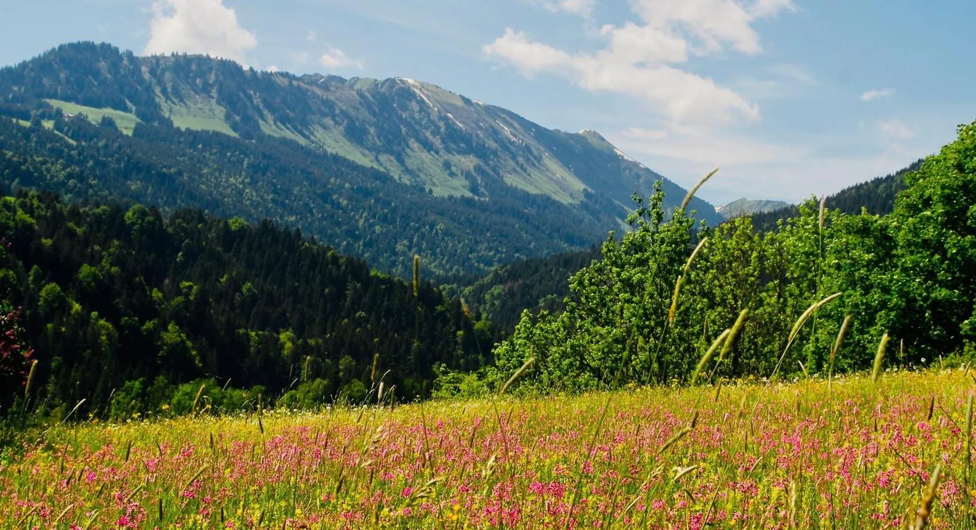 Winkelhof Apartman Oberstdorf Németország